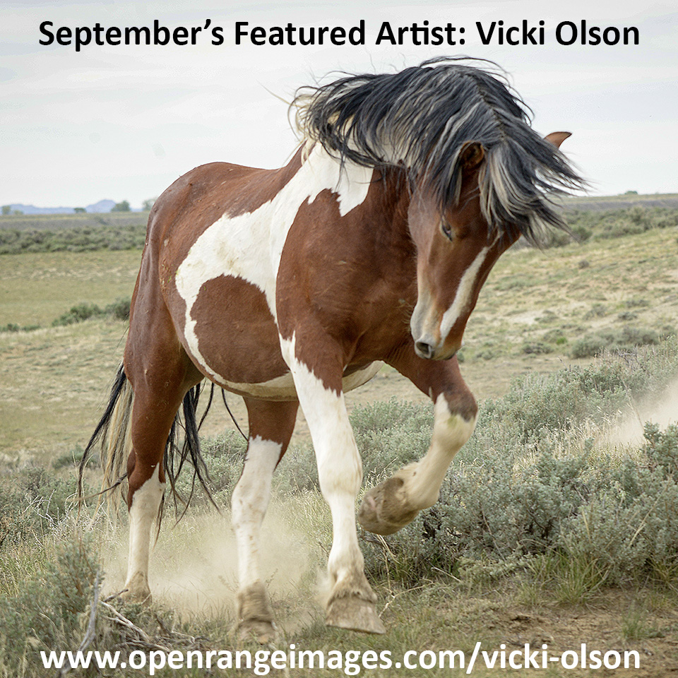 Cody Calendar's featured artist for September 2023: Vicki Olson